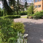 219d2462-85c3-4bf3-83e1-c9156d9bf5f0